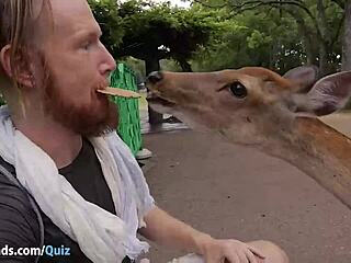 Deer Squirt